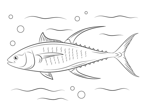 Cute Yellowfin Tuna Coloring Page